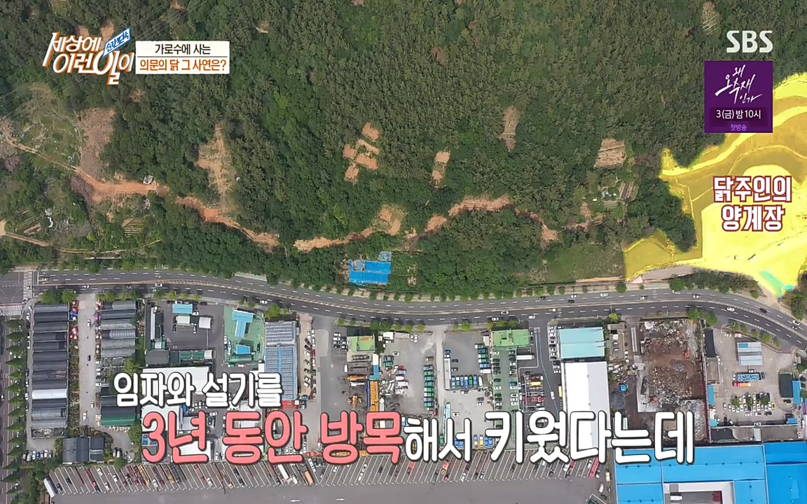 순간포착 세상에 이런일이.E1182.220532p-NEXT.mp4_20220601_173146.649.jpg