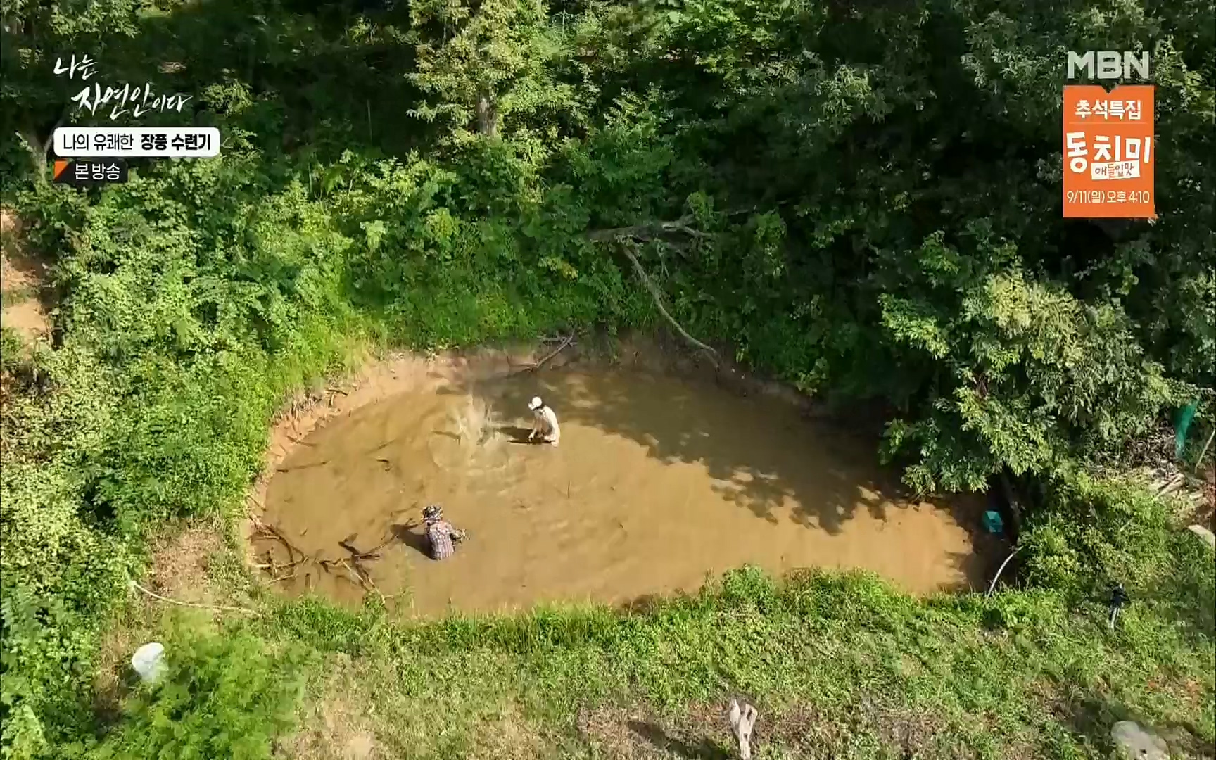 나는 자연인이다.E517.220831p.H264-F1RST.mp4_20220901_200957.366.jpg