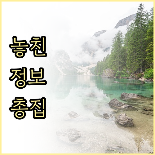 오슬로 래디슨 블루 호텔 비교분석..