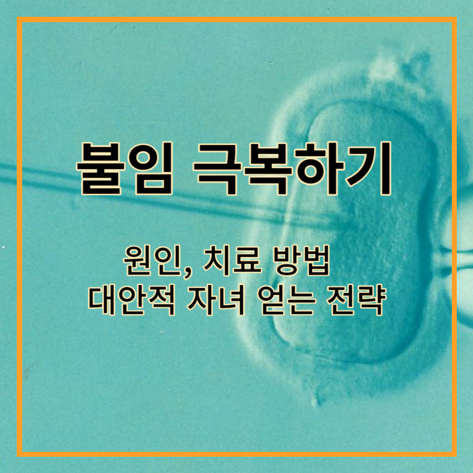 불임 극복하기