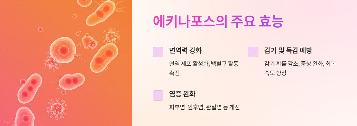 에키나포스 주요 효능
