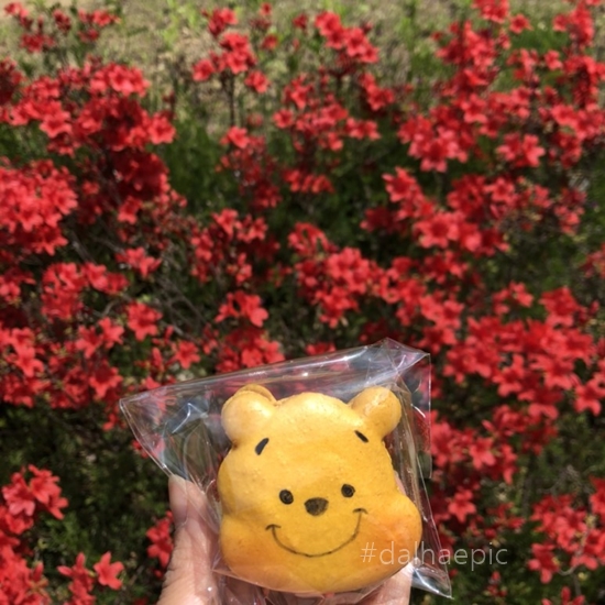  [수원 마카롱 맛집] 먹기 너무너무 아까운 캐릭터 마카롱 <채우당>