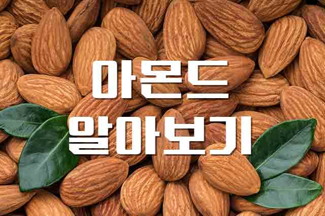  아몬드, 콜레스테롤 개선에 좋은 견과류