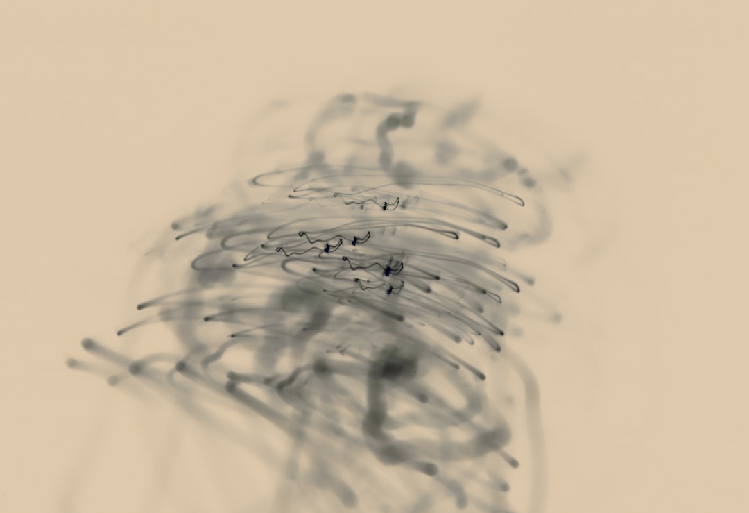 Lumbar