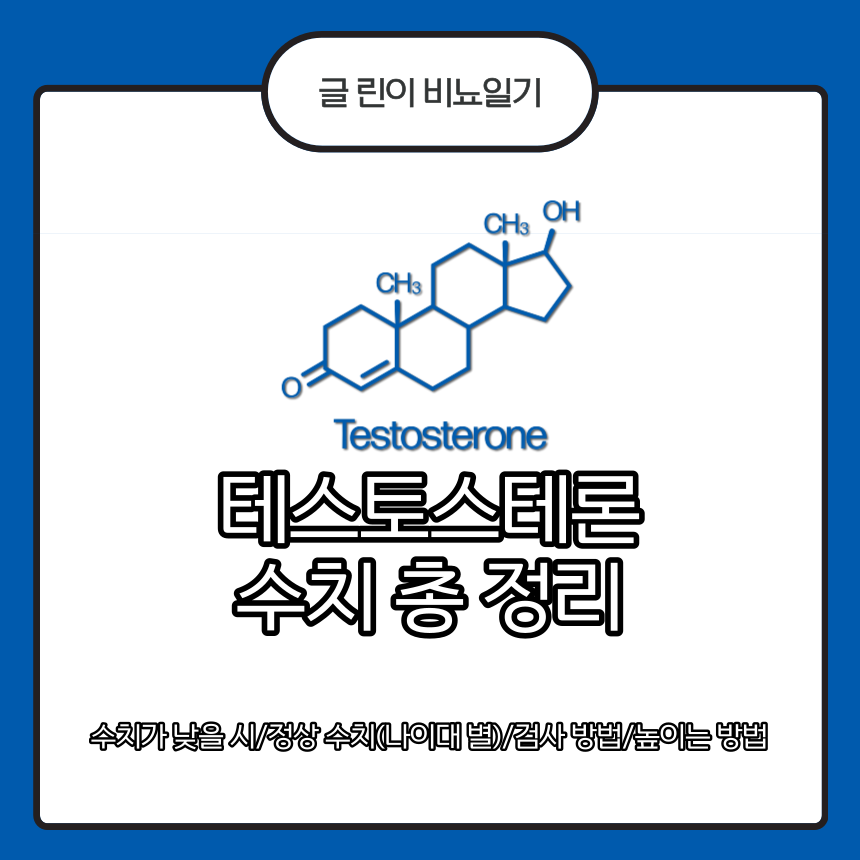  테스토스테론 수치 총 정리