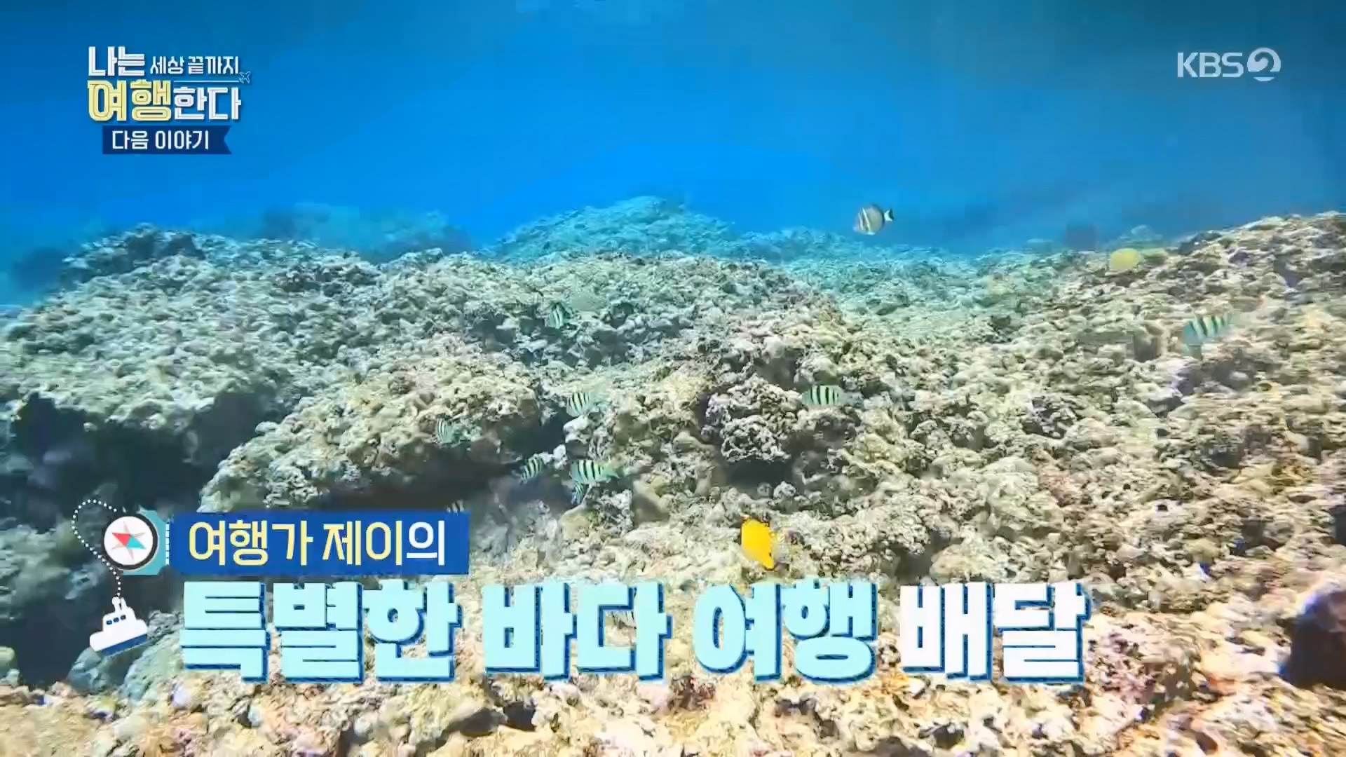 설 특집 나는 세상끝까지 여행한다.240211p.H264-F1RST.mp4_20240213_203546.095.jpg