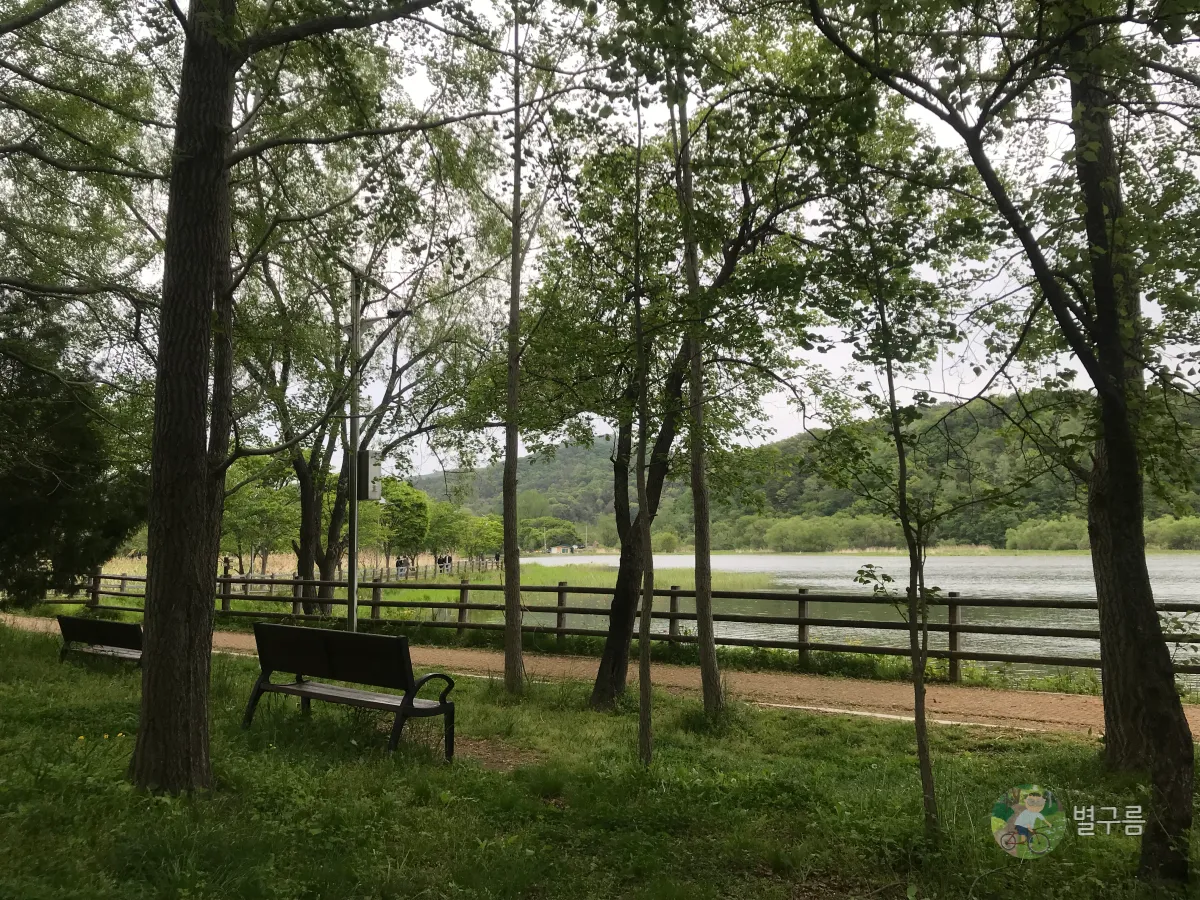 두물머리-물래길-숲속-벤치-뒷모습