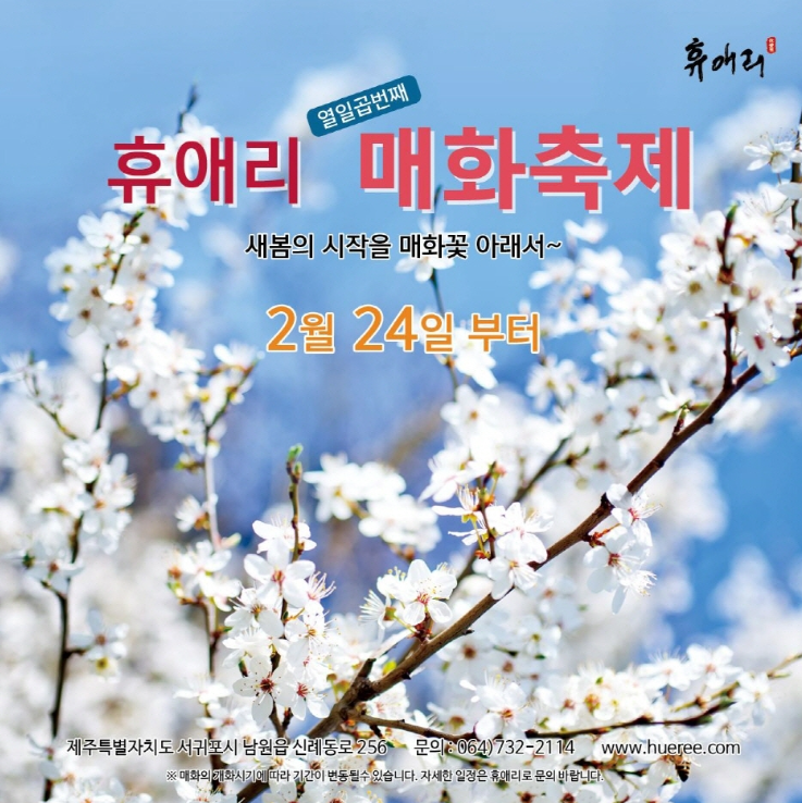 휴애리 - 매화축제