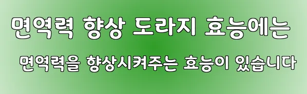 면역력 향상 도라지 효능에는 면역력을 향상시켜주는 효능이 있습니다