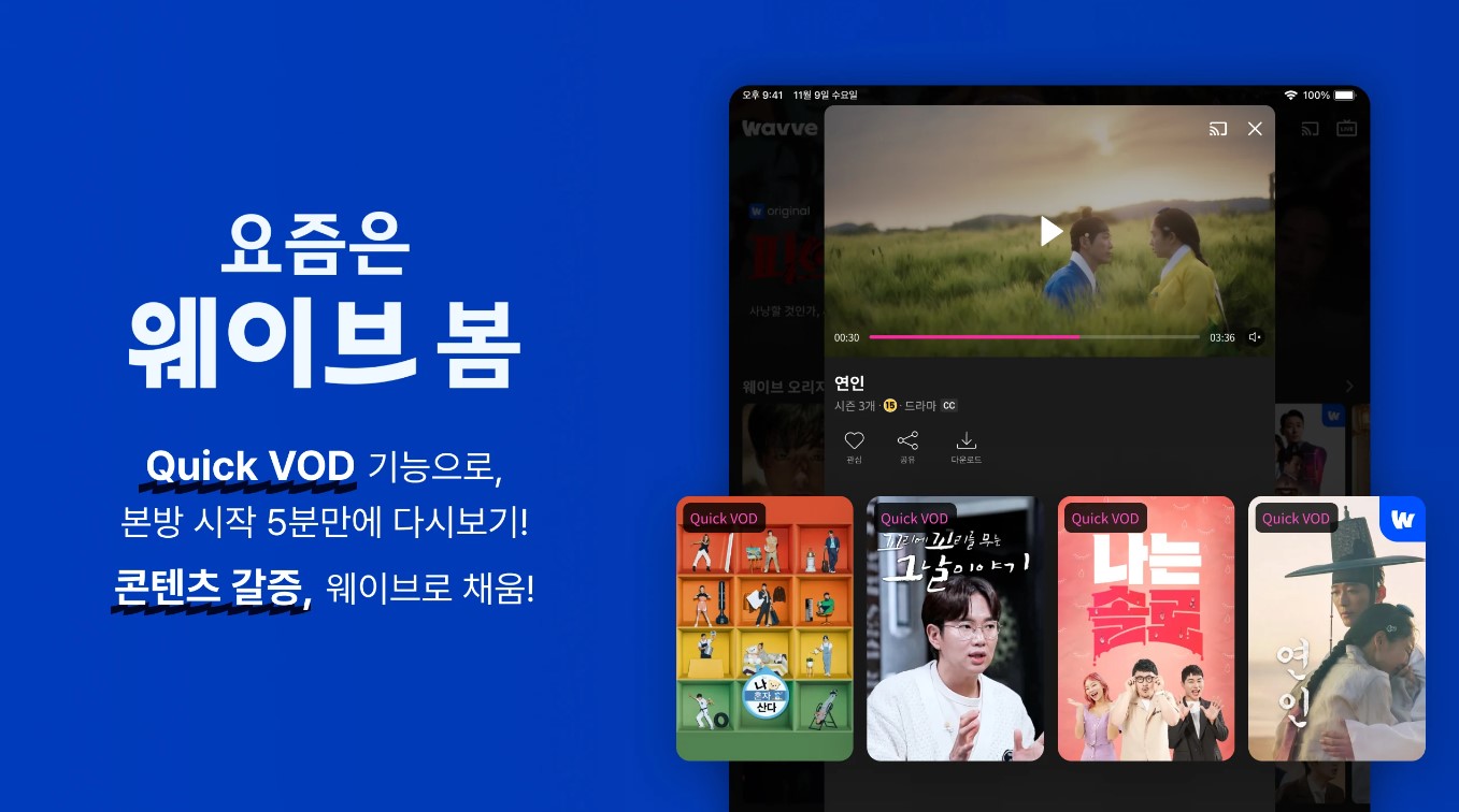 무료 실시간 TV
