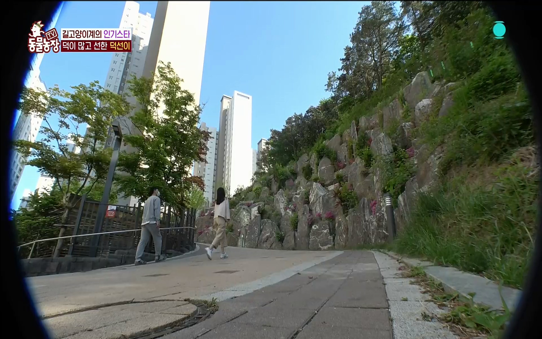 TV 동물농장.E1073.220612p.H264-F1RST.mp4_20220612_181346.059.jpg
