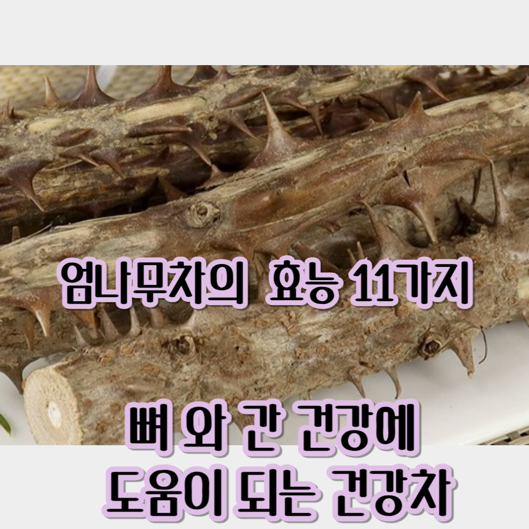 엄나무차의 놀라운 효능 11가지(+뼈 와 간 건강에 도움이 되는 건강차!)