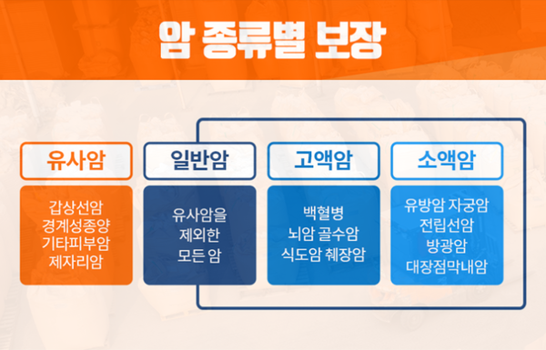 암 종류별 보장