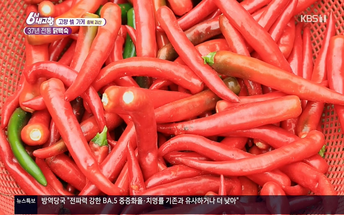 6시 내고향.E7602.220824p.H264-F1RST.mp4_20220825_171322.392.jpg