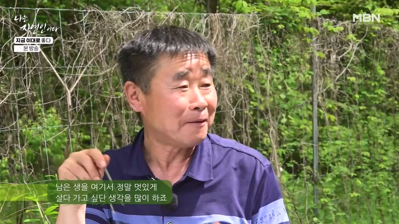 나는 자연인이다.E605.240516p-NEXT.mp4_20240516_194938.120.jpg