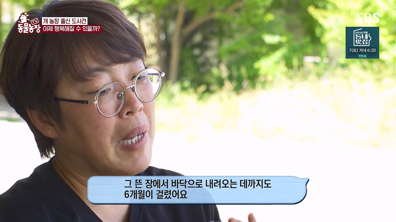 TV 동물농장.E1187.240902p-NEXT.mp4_20240901_155511.119.jpg