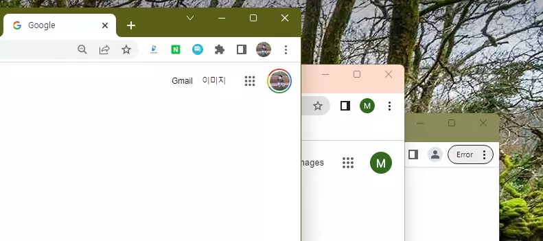 크롬을 설정이 다른 여러 계정으로 동시에 실행하는 방법 사진6