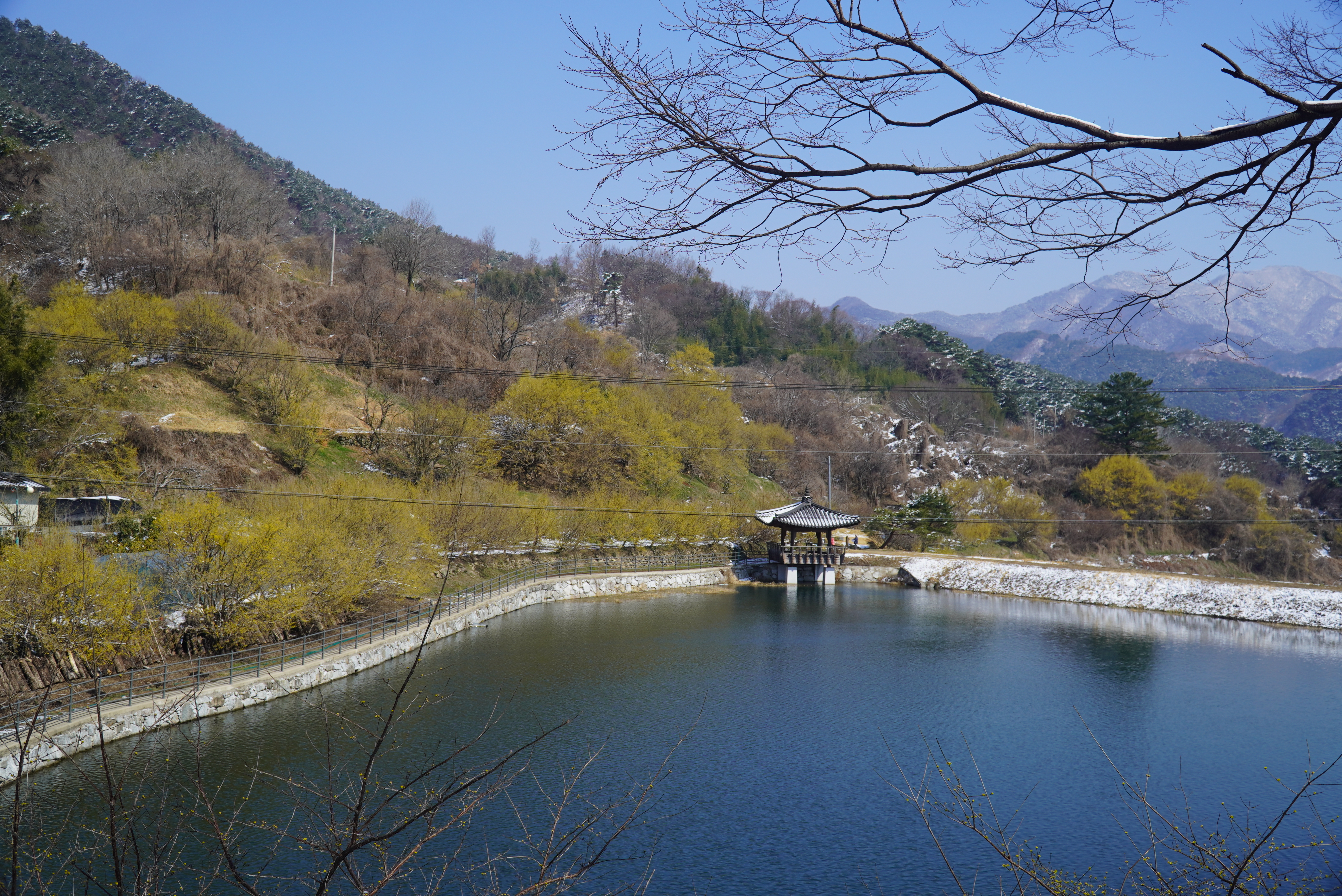 구례 산수유 꽃 축제, 구례 가볼 만한 곳 총정리