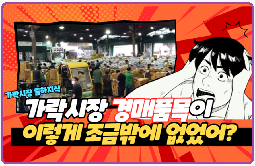  [가락시장 출하상식] 가락시장에서 모든 농산물을 경매하는 것은 아닙니다! (상장거래품목 VS 상장예외품목)