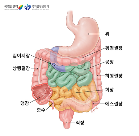 장의 구조