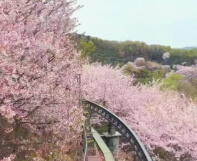 화담숲 예약방법