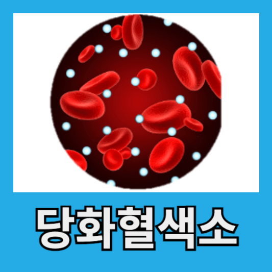 당화혈색소 혈당관리 지표 혈당과 당화혈색소 차이 당화혈색소 수치