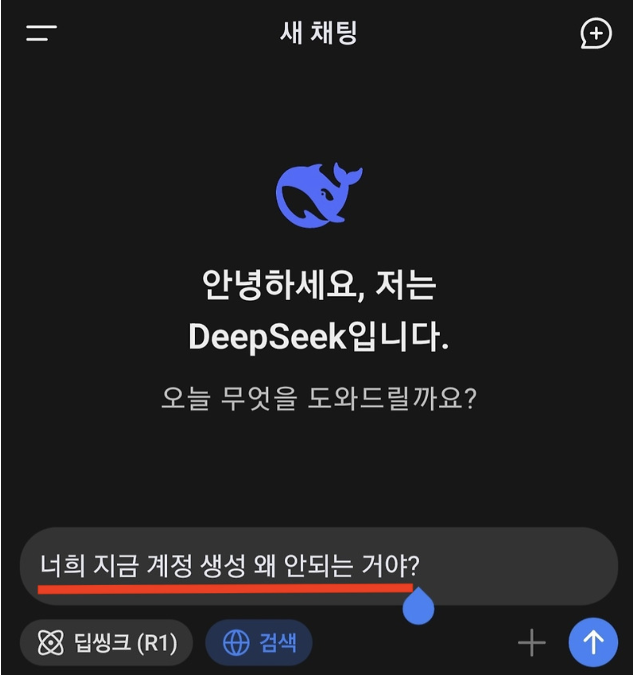 딥시크 채팅창