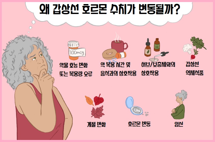 갑상선 수치 변동 이유
