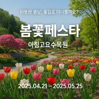 2025 봄꽃페스타 아침고요수목원에서 만나는 봄의 향연 완벽 체험기_24