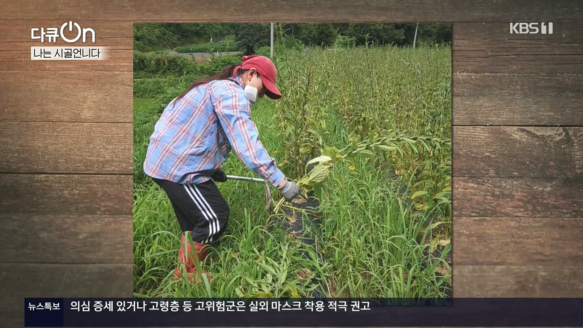 다큐 On.E165p.H264-F1RST.mp4_20221028_212312.438.jpg