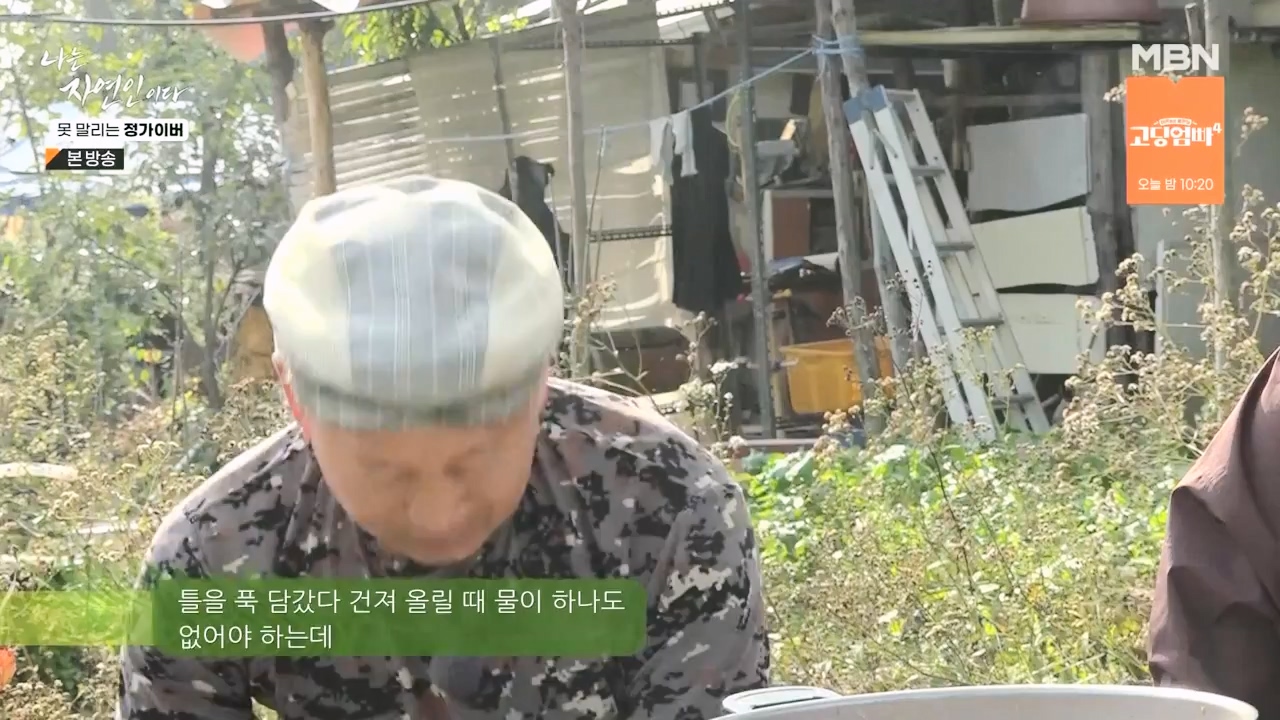 나는 자연인이다.E580.231116p-NEXT.mp4_20231116_202505.385.jpg