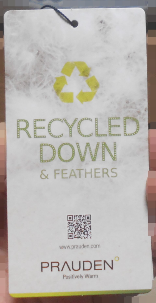 recycled down