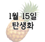 이 이미지를 클릭 하시면 1월 15일 탄생화에 대한 포스팅으로 이동됩니다.