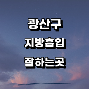 광주 광산구 지방흡입