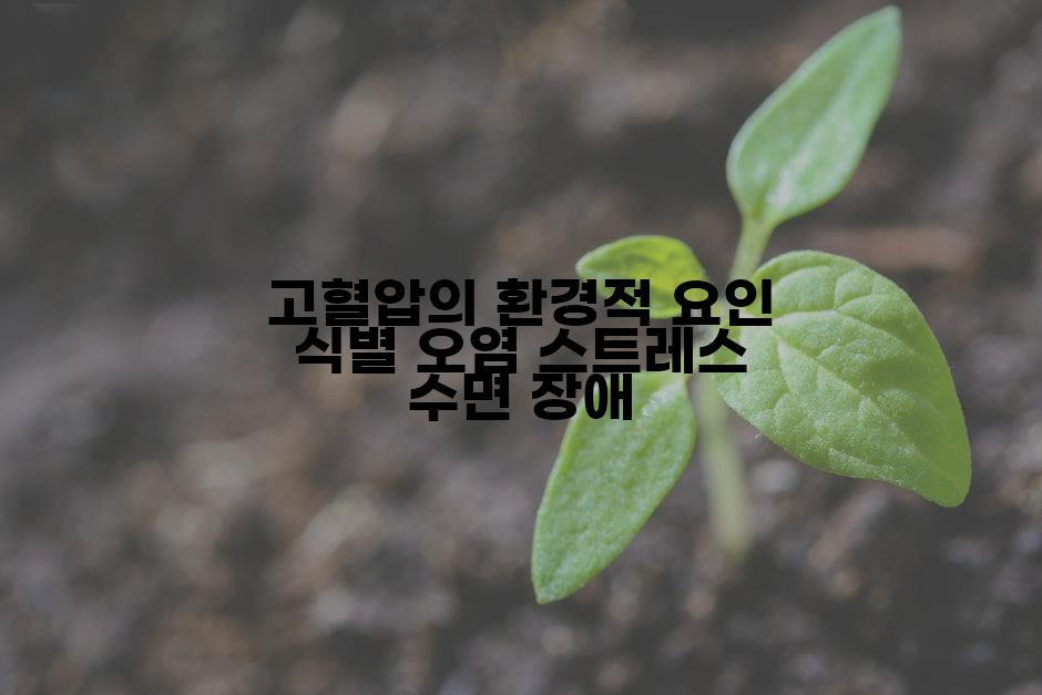 고혈압의 환경적 요인 식별 오염 스트레스 수면 장애