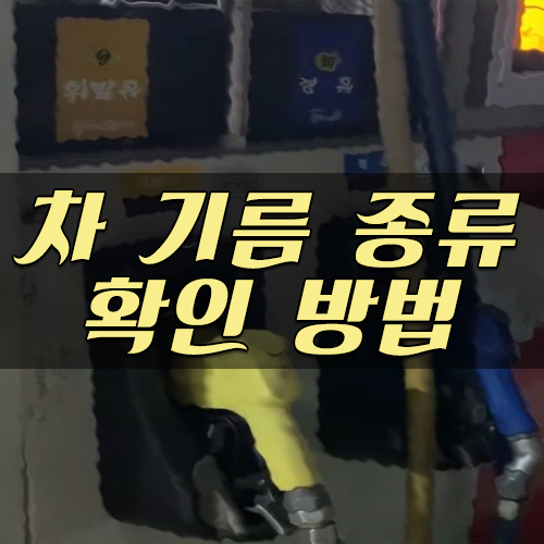  차 기름 종류 확인 방법