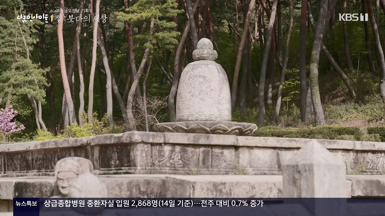 다큐 인사이트.E185.240517p-NEXT.mp4_20240517_202642.019.jpg