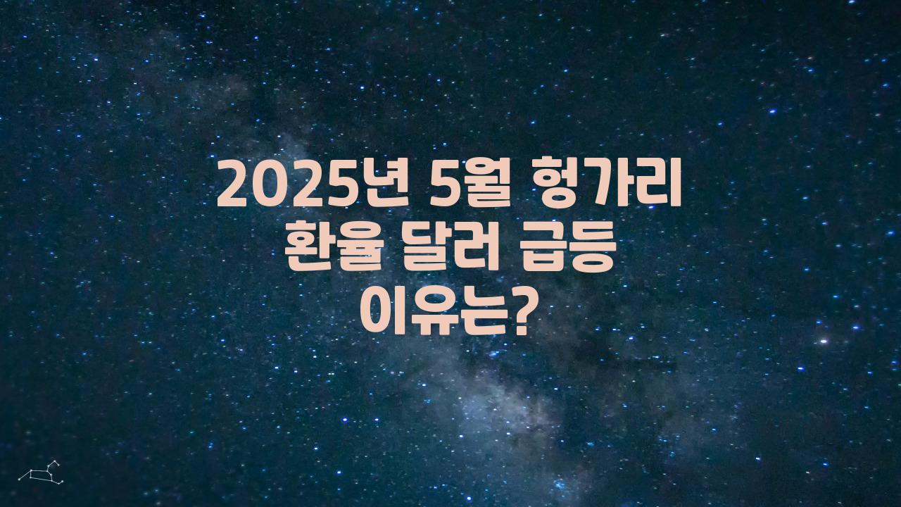 2025 5월 헝가리 환율 달러