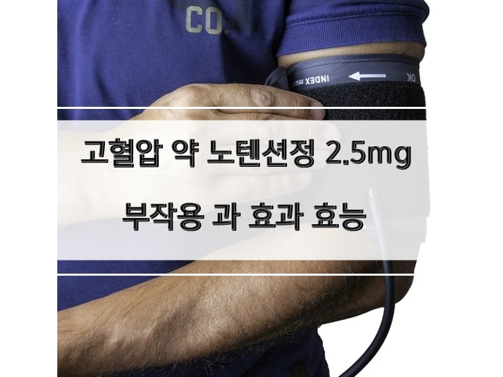 고혈압 약 노텐션정 2.5mg 부작용 과 효과 효능