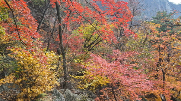 신주 이미지