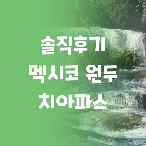 더치앤빈 싱글 오리진, 멕시코 치아파