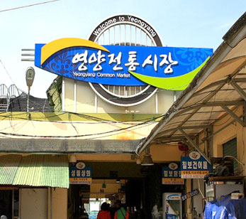 사랑하는 사람과 함께 즐기는 경북여행 명소 추천