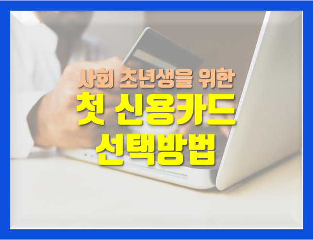  사회초년생 신용카드 추천