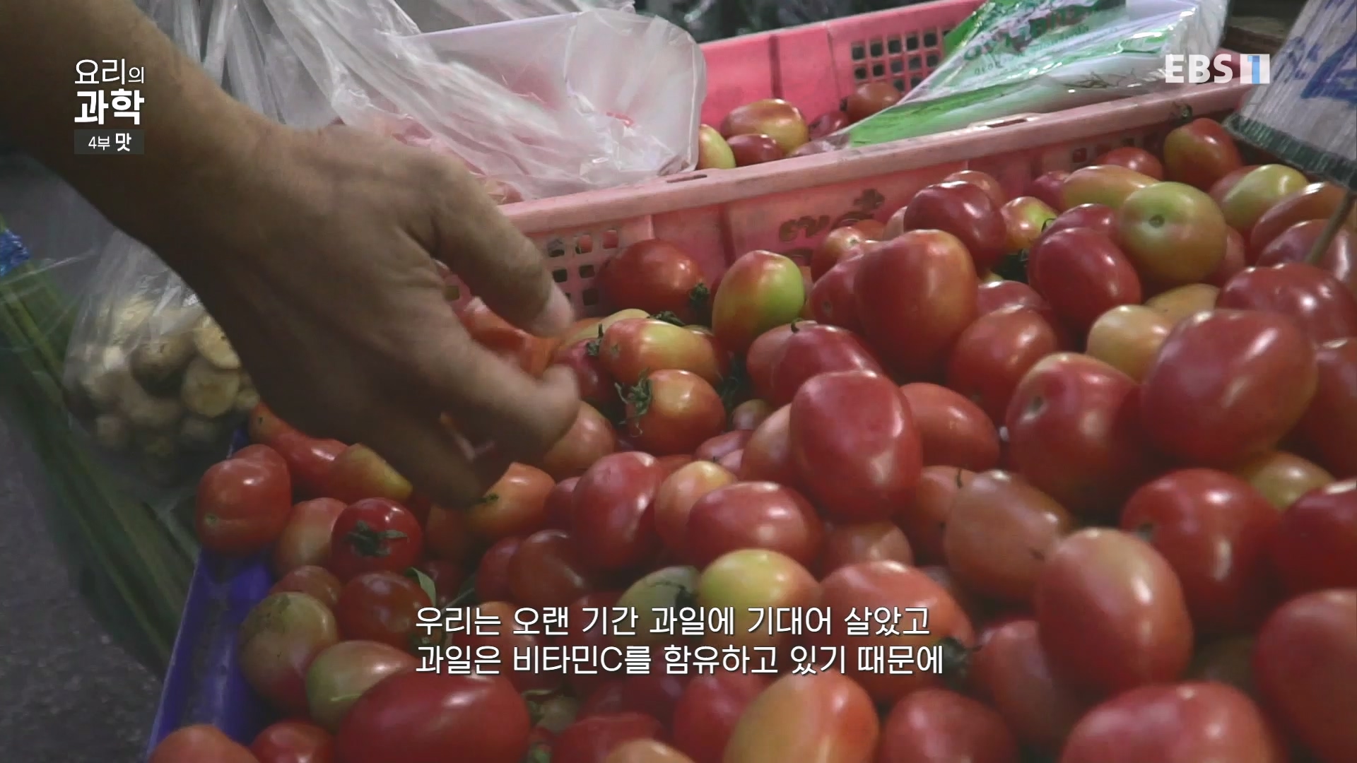 EBS 다큐프라임.201208.요리의 과학 - 4부 맛0p.mp4_20240413_162620.322.jpg