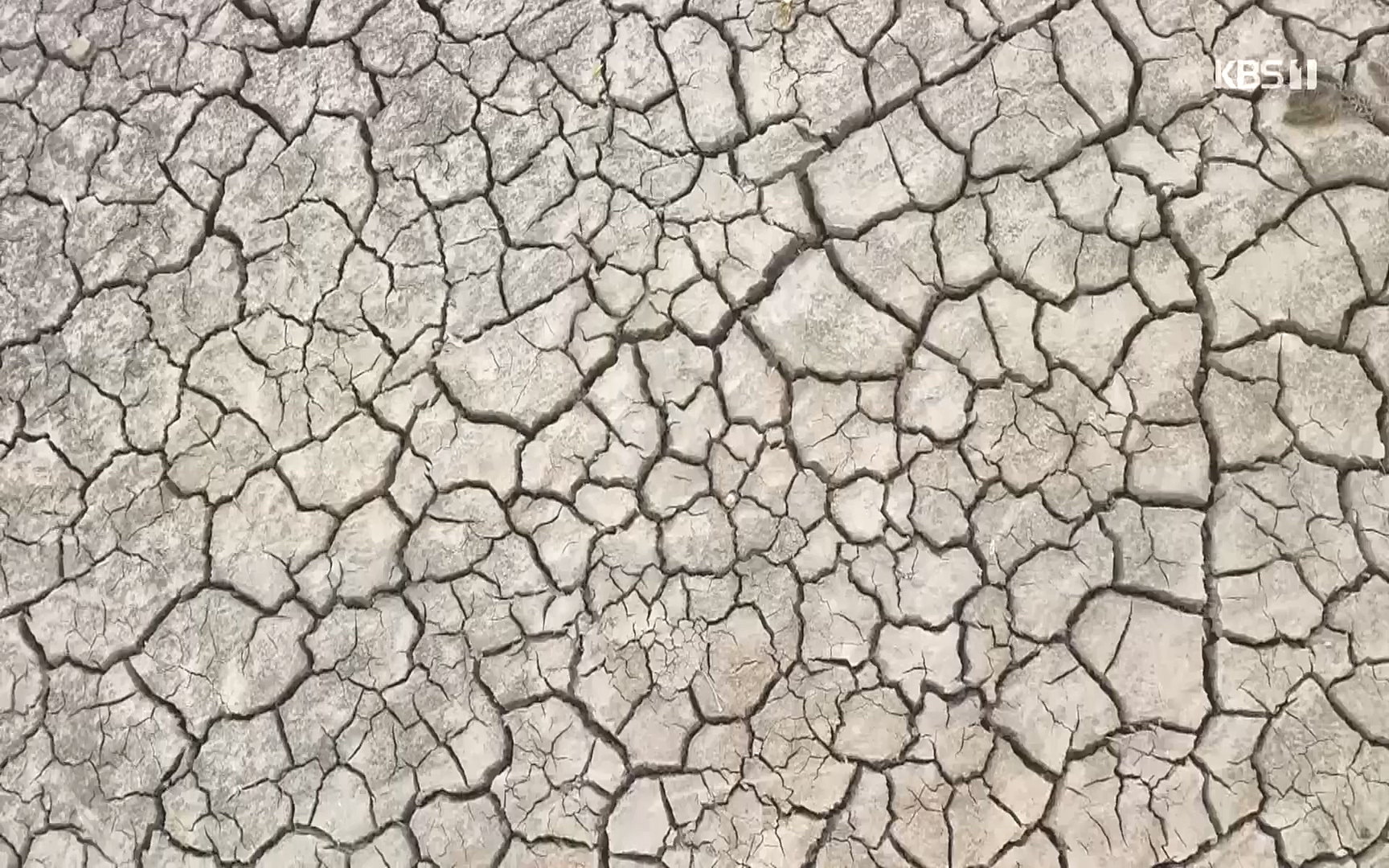 생로병사의 비밀.E839.221012p.H264-F1RST.mp4_20221013_205053.788.jpg