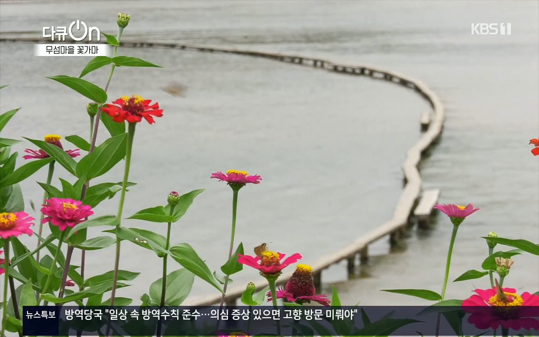 다큐 On.E156.220909p.H264-F1RST.mp4_20220910_190840.105.jpg