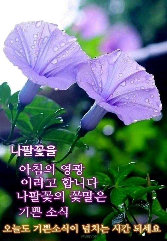  오늘의 좋은글 287번째 내가 성공하기 위해서는 내 마음(생각)을 고쳐야 합니다