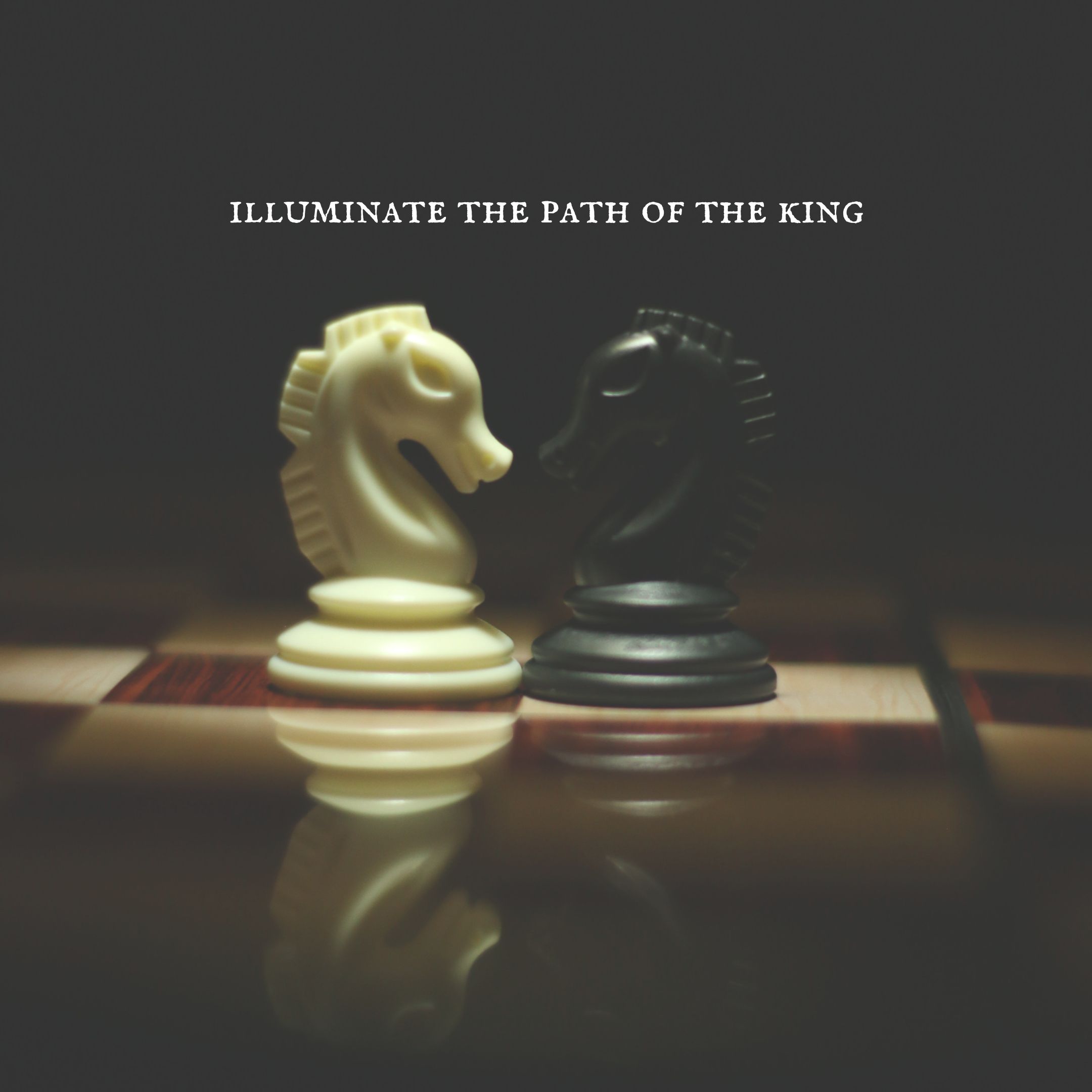 Illuminate the path of the king&#44; &#39;왕의 길&#39;을 밝히다 🦅