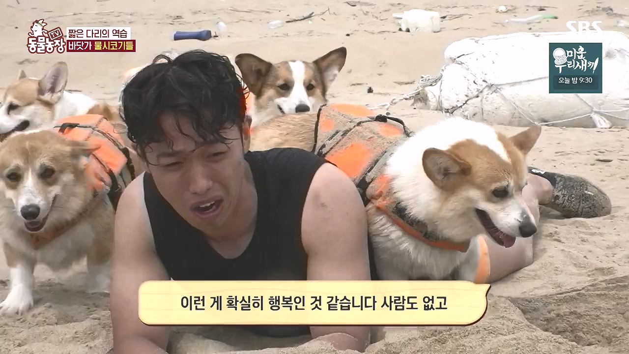 TV 동물농장.E1184.240812p-NEXT.mp4_20240811_172500.218.jpg