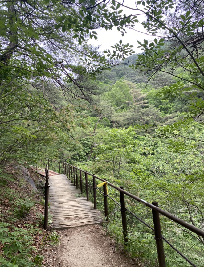 여름산으로 추천하는 괴산 칠보산(778m) 숲속을 거니는 듯 시원해 61